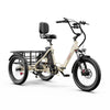 OneSport OT30 Pro Tricycle électrique